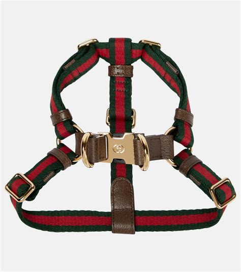 gucci harness